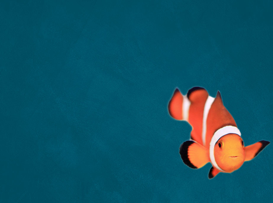 Just Keep Swimming